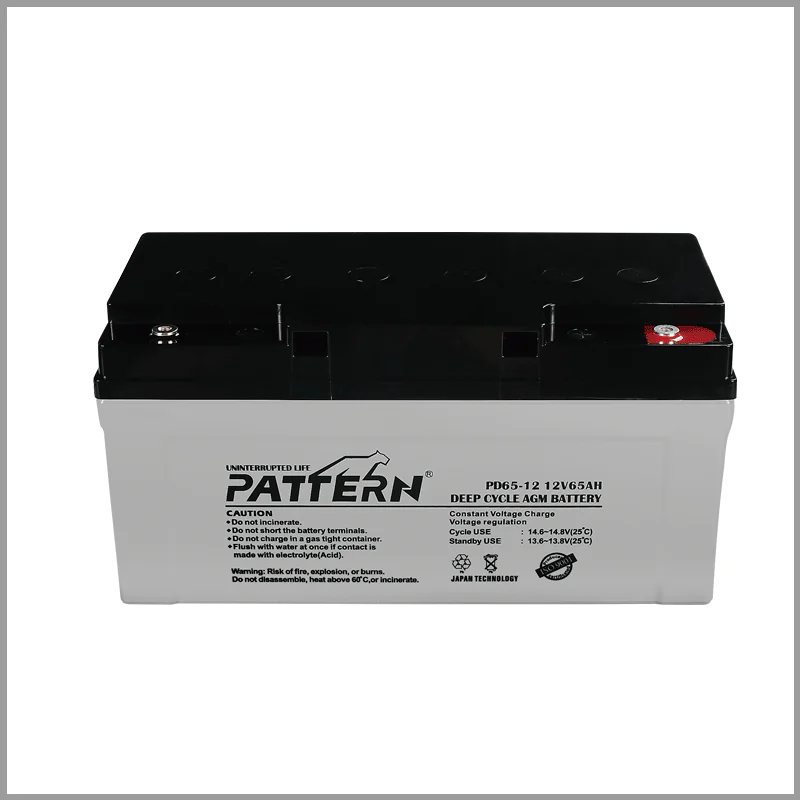 Baterie s hlubokým cyklem PD65-12