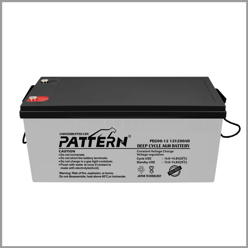 Solcellsväxelriktarbatteri  PD200-12